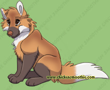 Pet