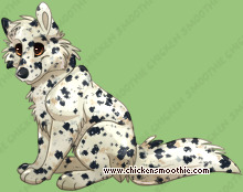 Pet