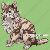 Pet