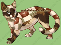 Pet