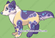 Pet