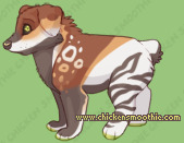 Pet