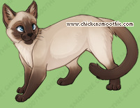 Pet