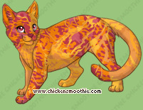 Pet