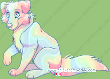 Pet