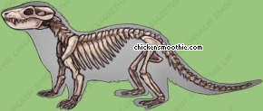 Pet