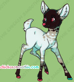 Pet