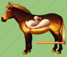 Pet
