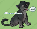 Pet