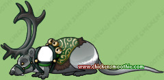 Pet