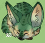 Pet
