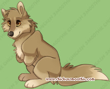 Pet