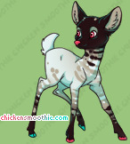 Pet