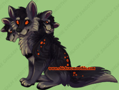 Pet