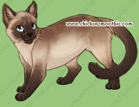 Pet