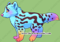 Pet