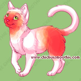 Pet