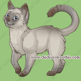 Pet