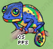 Pet