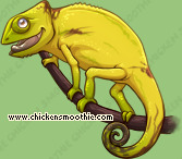 Pet