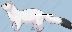 Pet