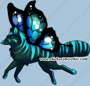 Pet