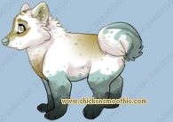 Pet