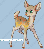 Pet