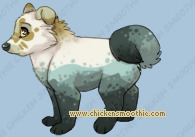 Pet