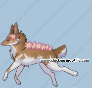 Pet