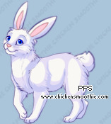 Pet