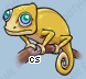 Pet