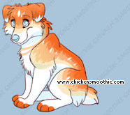 Pet