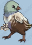 Pet