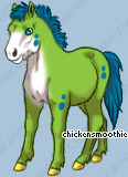 Pet