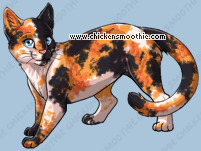 Pet