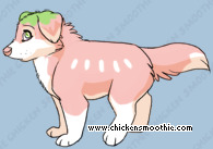 Pet