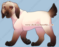 Pet