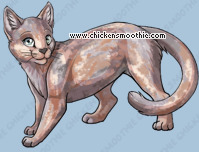 Pet