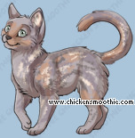 Pet