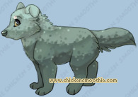 Pet