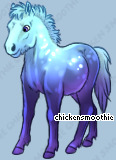 Pet