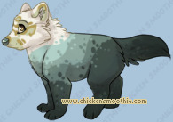 Pet