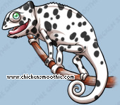 Pet