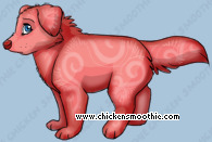 Pet