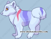 Pet