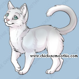 Pet
