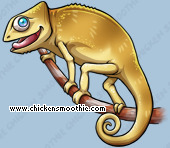Pet
