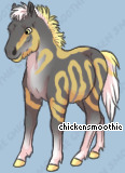 Pet