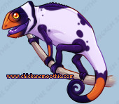 Pet